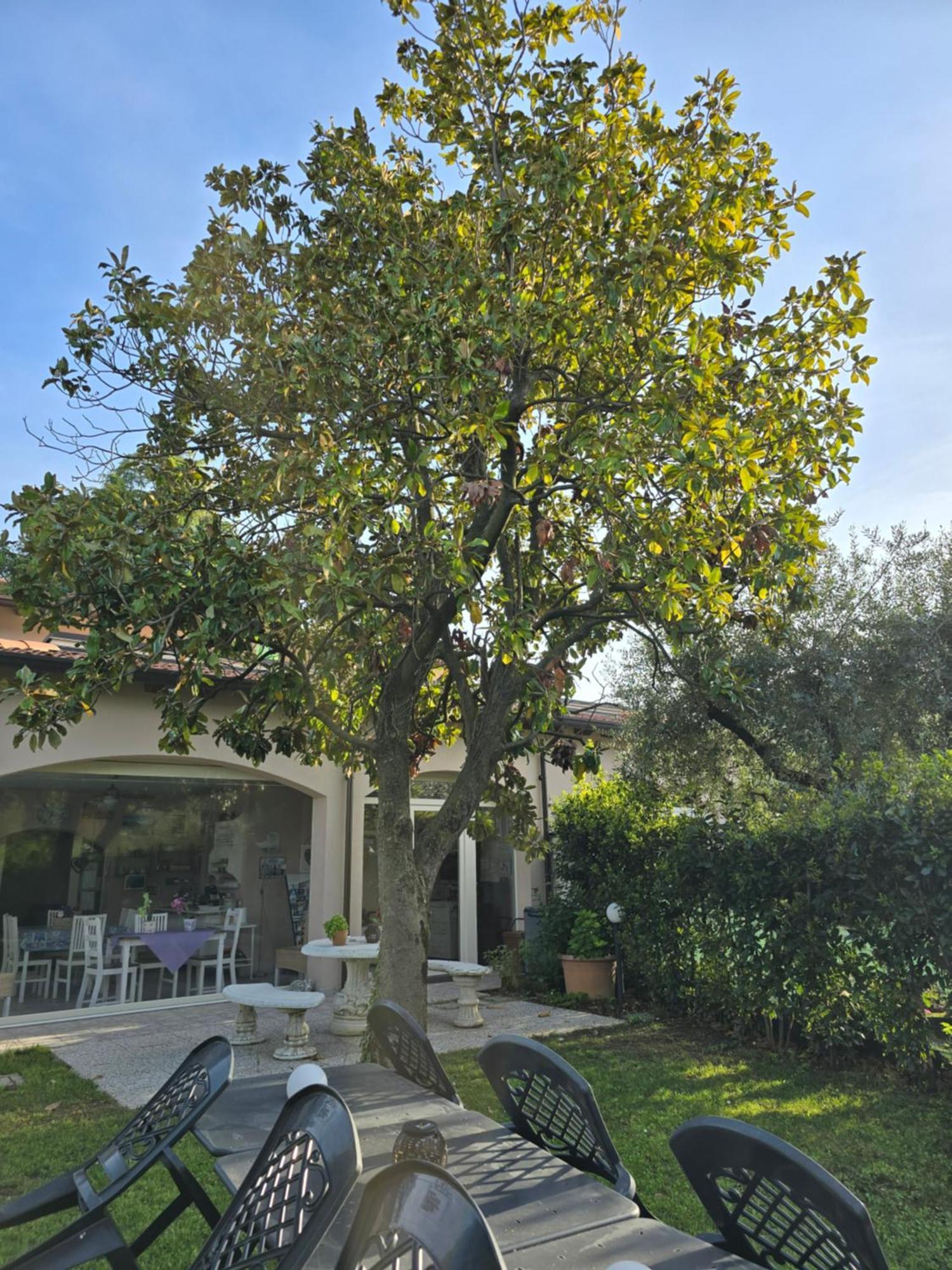 Villa Indipendente A Pochi Passi Dal Lago San Felice del Benaco Exterior photo